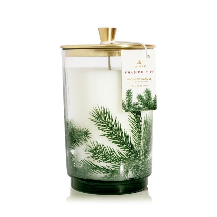 Frasier Fir Luminary - Large