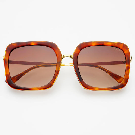 Lulu Acetate Womens Square Sunglasses : Brown