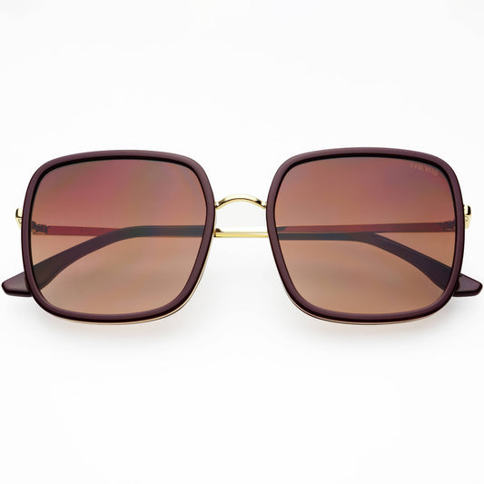 Cosmo Acetate Womens Square Sunglasses : Chocolate