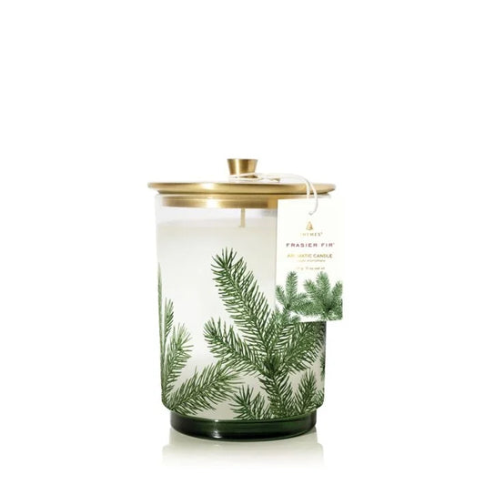 Frasier Fir Luminary - Medium